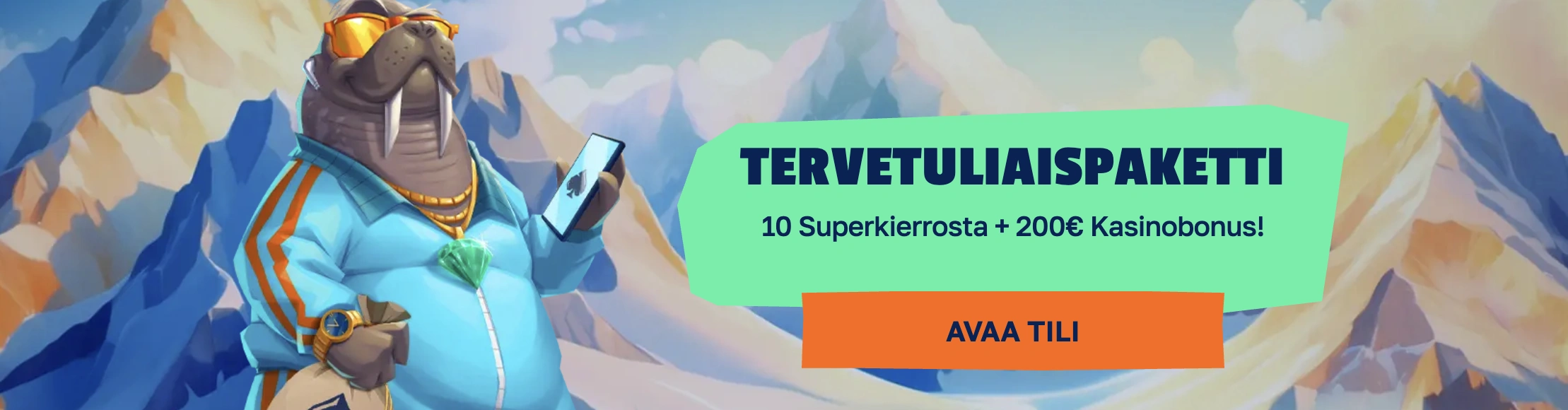 Promotional Banner